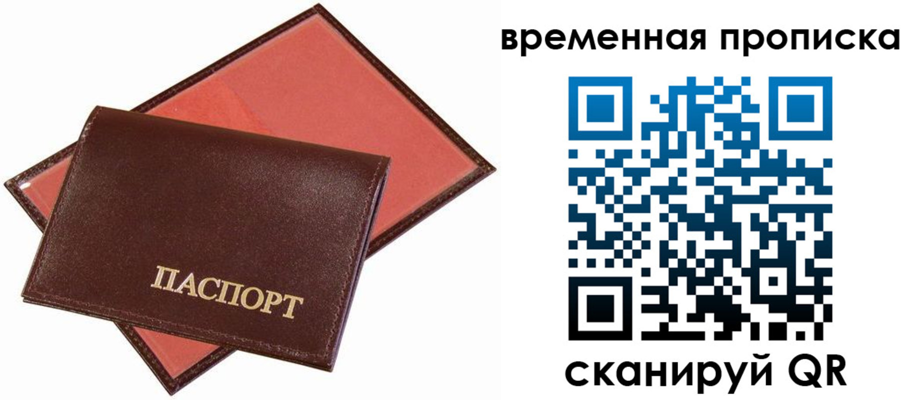 прописка в квартире в Александрове