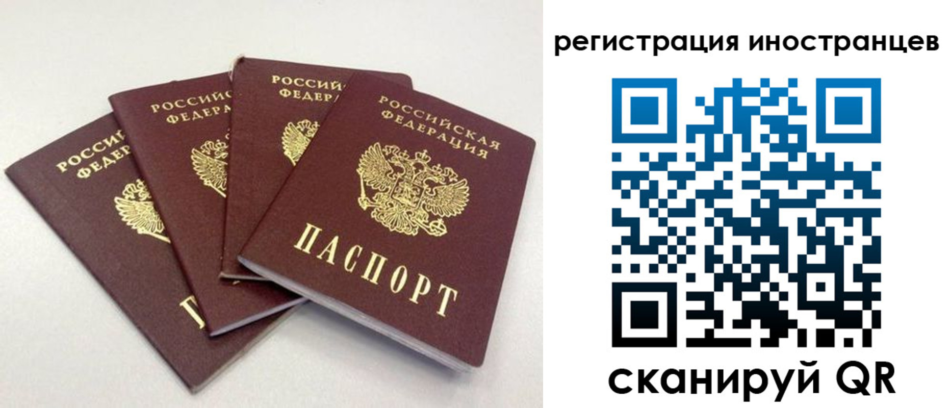 временная регистрация для школы в Александрове