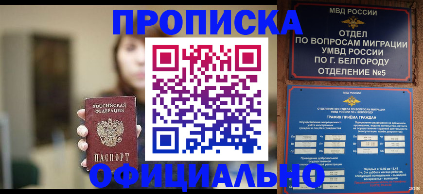 временная регистрация недорого в Александрове